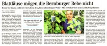 Pressebeitrag 'Blattl&auml;use m&ouml;gen die Bernburger Rebe nicht' MZ 04.08.2006